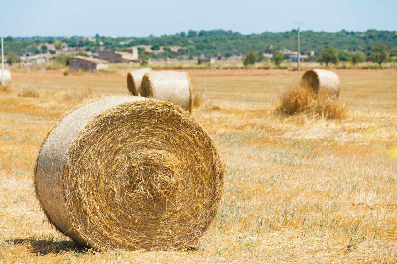 108 Finca Son Morey Tarongers Etv14340 By Mallorca Charme Can Picafort  Exterior foto